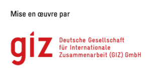 GIZ